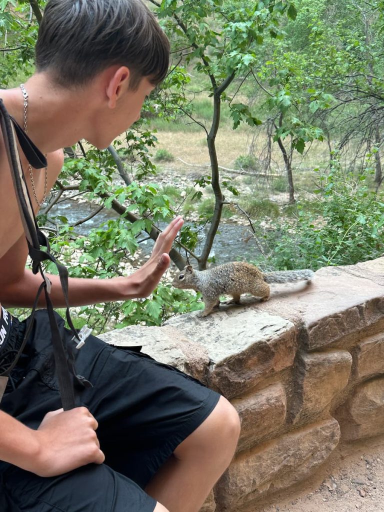 Photo d'un adolescent assis sur un muret de pierres, avec un écureuil a coté de sa main prise pendant la randonnée Riverside Walk à Zion National Park