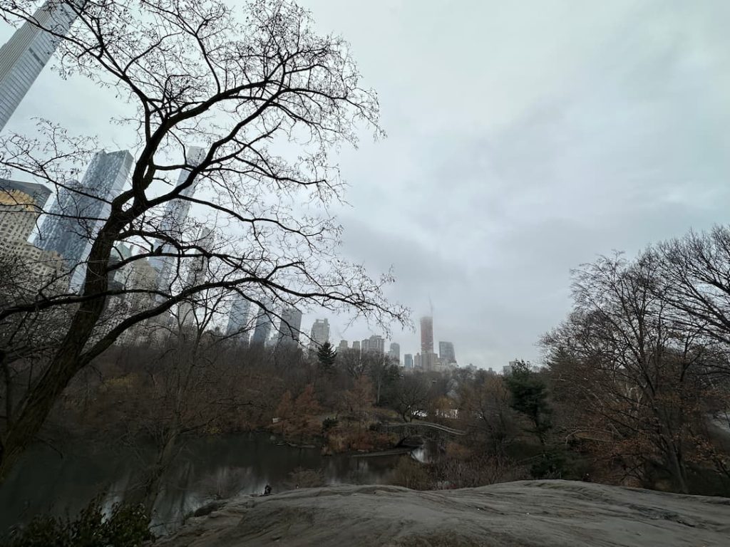 Photo des buildings de Manhattan pris depuis Central Park avec des arbres devant, à New York en hiver