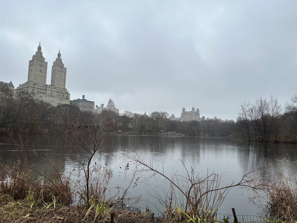Photo du lac de Central Park avec des arbres devant, les buildings de Manhattan en fond, à New York en hiver