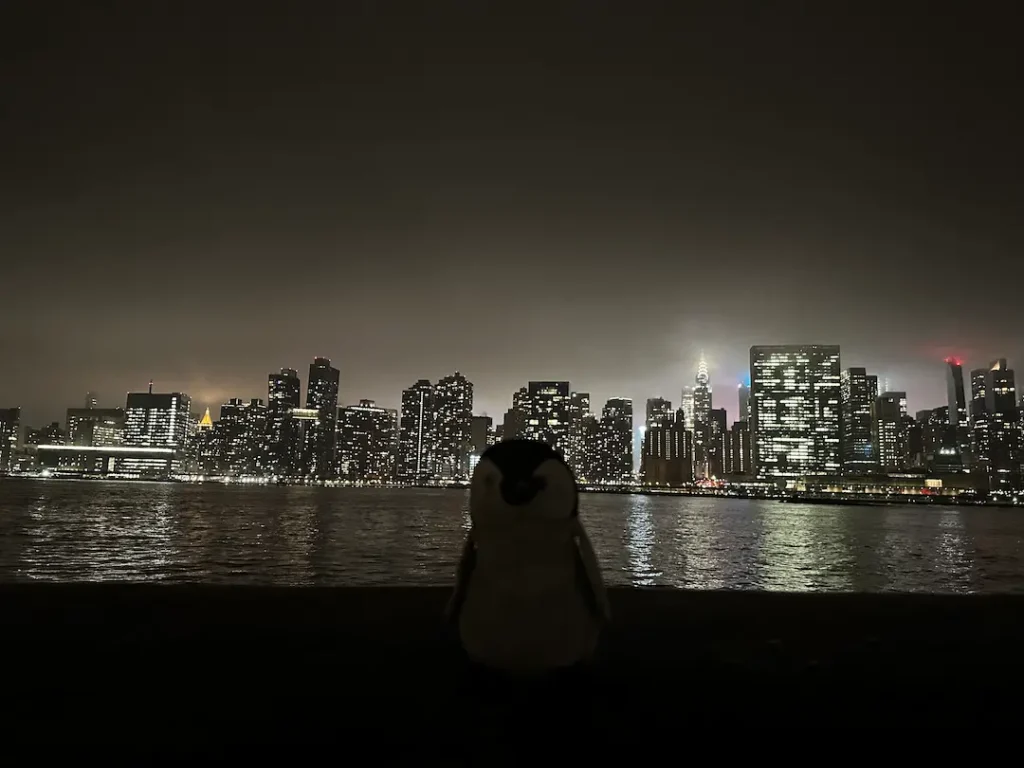 Photo d'une peluche en forme de pingouin devant la Skyline illuminée de nuit, à Gantry Plaza State Park, New York