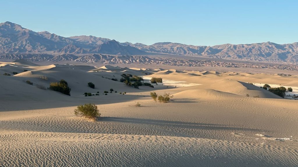 Photo au coucher du soleil de l'étendue de sable immaculée à Mesquite Flat Sand Dunes, Death Valley