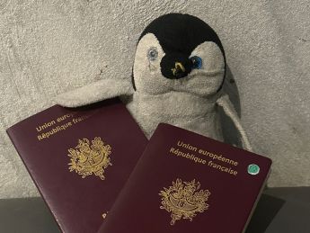 Peluche pingouin avec deux passeports francais devant elle