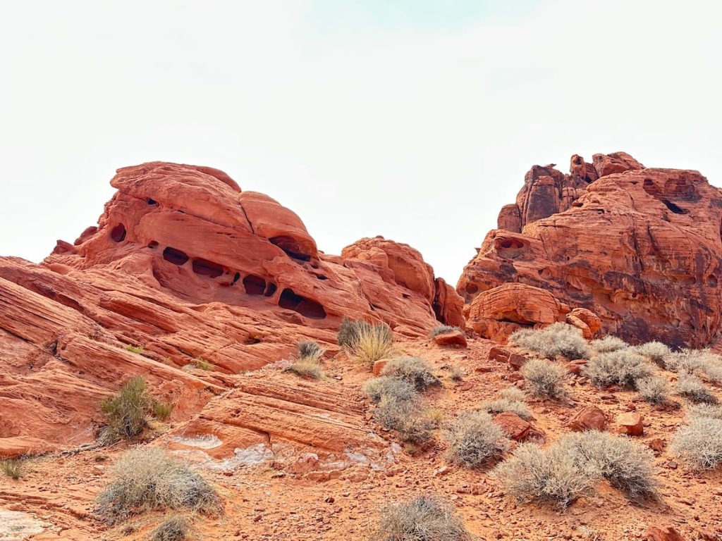 plan large des roches rouges et de la végétation aride de Valley Of Fire, Nevada