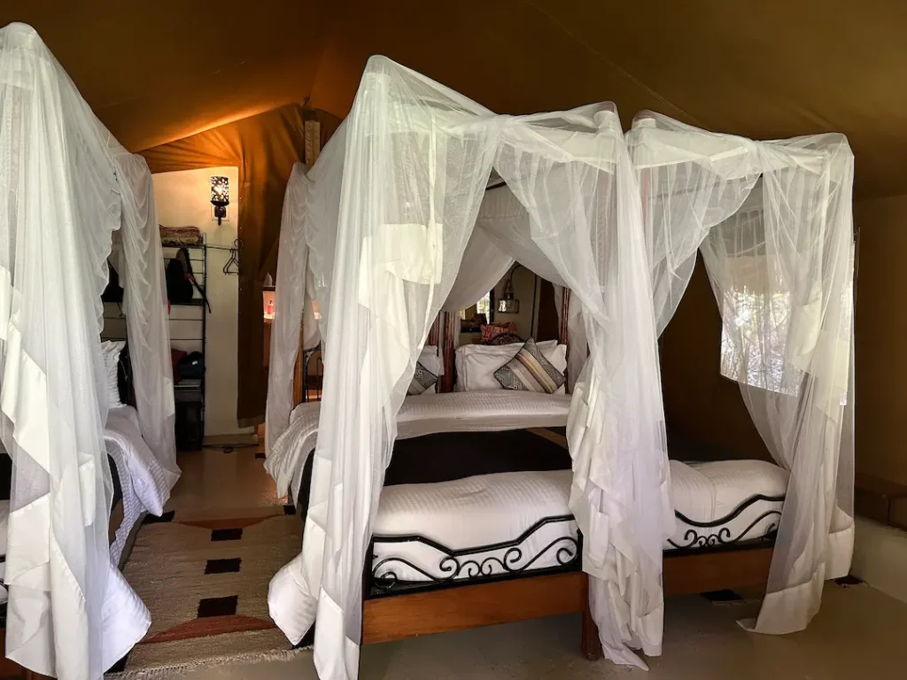 Chambre familiale au Flamingo Hill Tented Camp, Parc National du Lac Nakuru, Kenya
