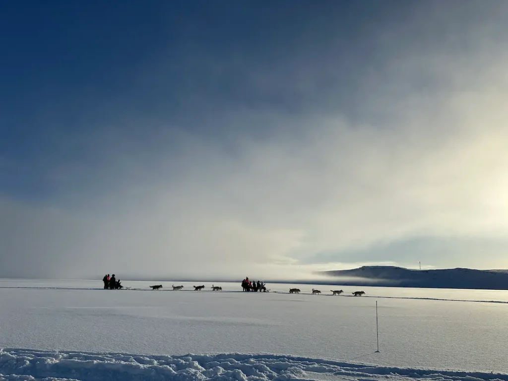 2 Attelages de chiens de traineaux sur un lac enneigé immaculé à Mosfellsbær, Islande