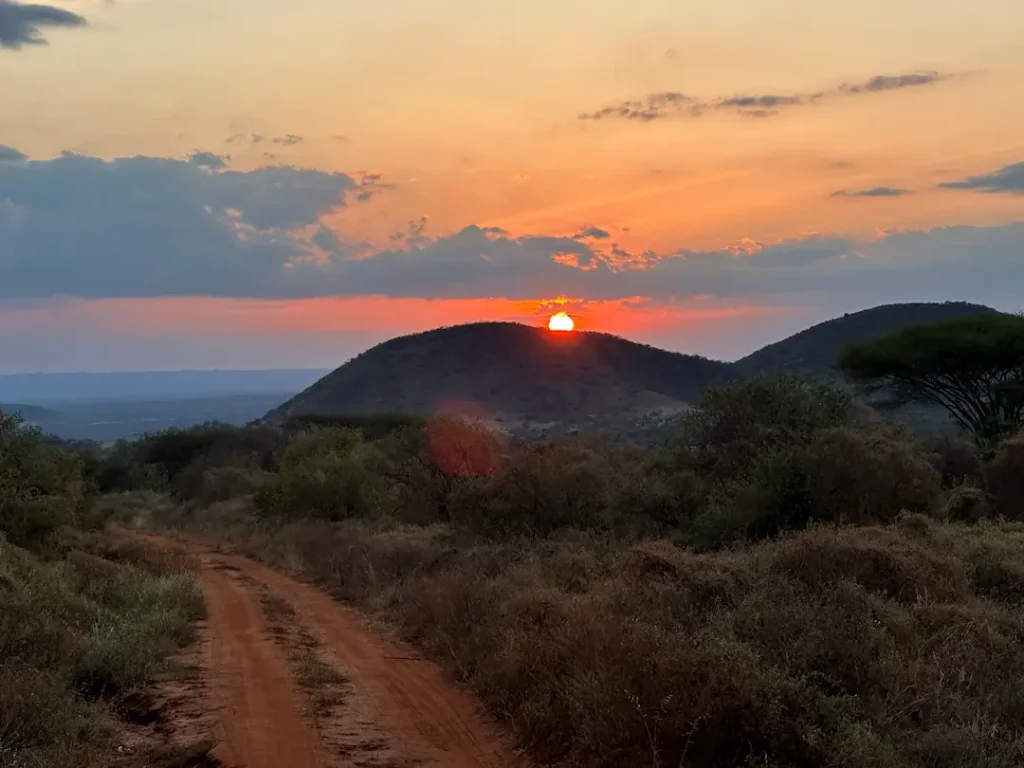 Coucher de soleil et piste de terre rouge au Parc National de Tsavo Ouest, Kenya