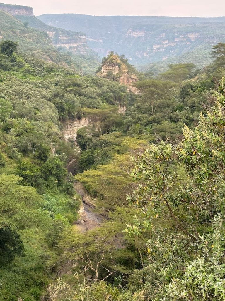 Paysage de roche et de végétation du Parc National de Hell's Gate, dans la région du Lac Navaisha, au Kenya