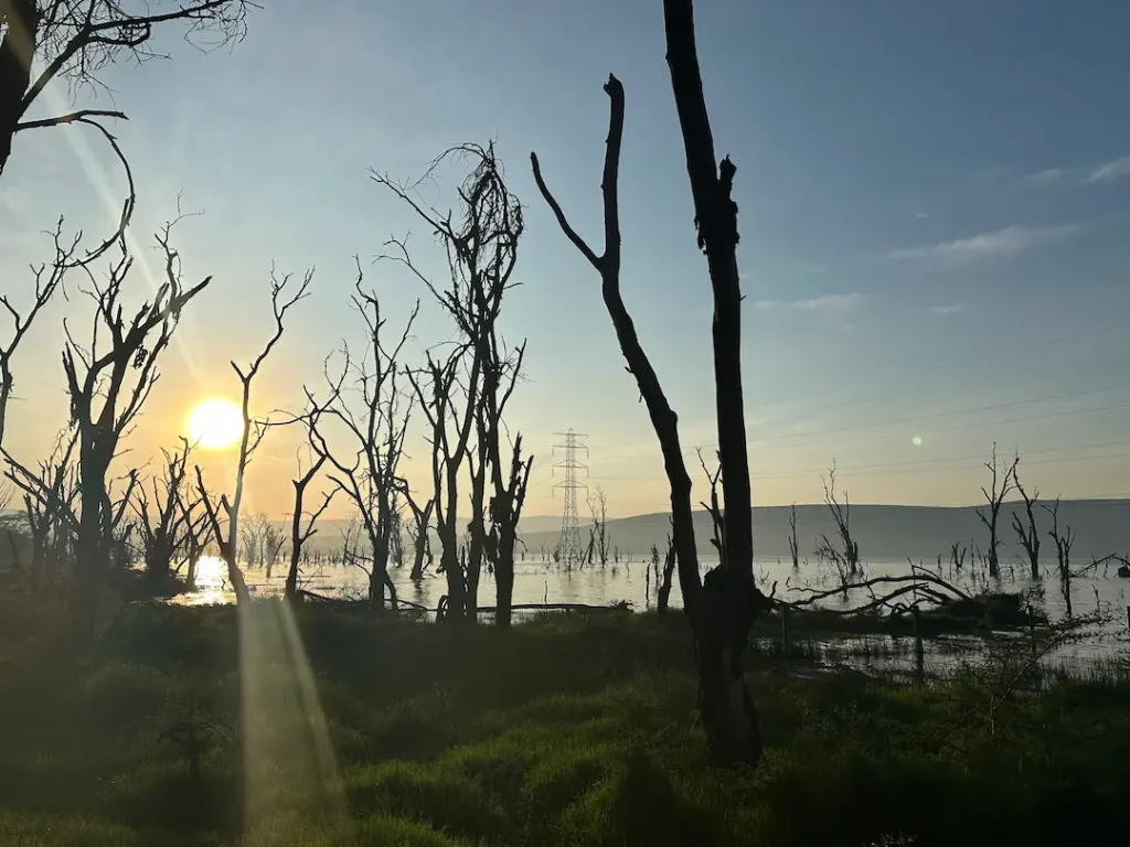 Paysage au coucher du soleil au Lake Nakuru National Park, Kenya