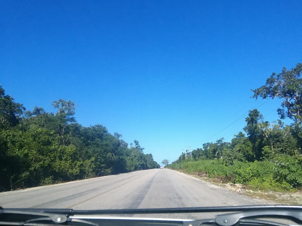Route au Mexique s'étirant à perte de vue au milieu des forêts et du ciel bleu pendant le road trip d'une mère et son ado