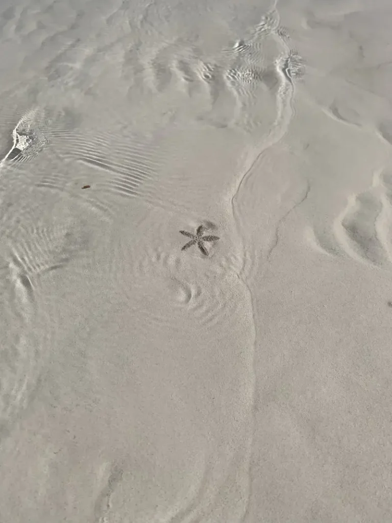 Etoile de mer sur l'île de Holbox au Mexique visitée par une mère et son ado