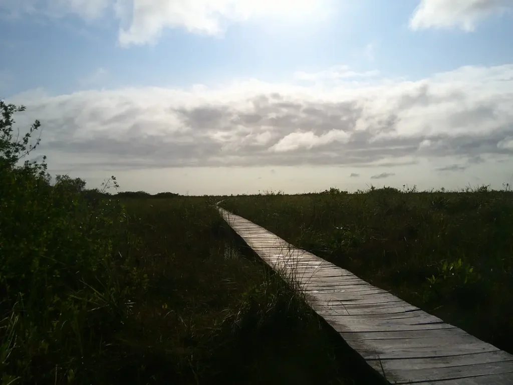 Chemin en bois dans la réserve de Sian Ka’an au lever du soleil à Tulum au Mexique