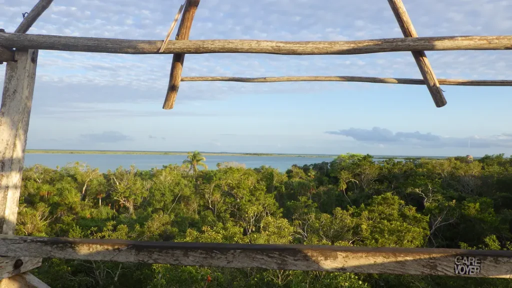 Vue panoramique sur la canope depuis une tour dans les ruines de Muyil dans la réserve de Sian Ka’an à Tulum au Mexique
