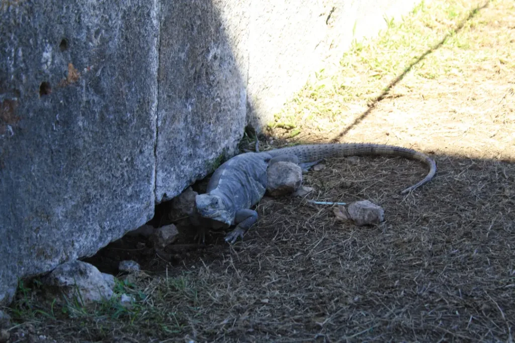 Site Uxmal au Mexique visité par une mère et son ado