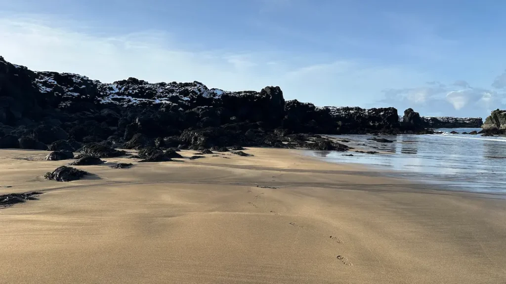Plage de Skardsvik dans la péninsule de Snæfellsnes en Islande en hiver avec le sable doré qui scintille au soleil et de la neige sur les roches noires