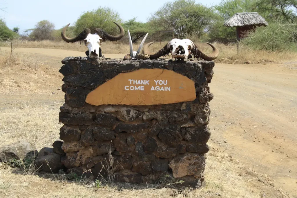 Muret de pierre avec des cranes d'animaux et l'écriteau "see you soon" à la sortie du Parc National de Tsavo Ouest, Kenya