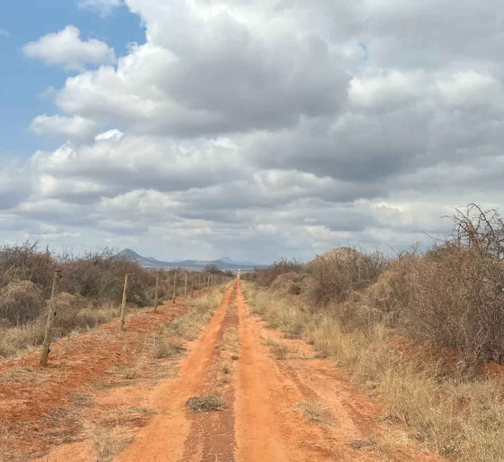 Route de terre rouge et végétation aride sur la route de la réserve de Taita Hills, depuis le Parc National de Tsavo Ouest, Kenya
