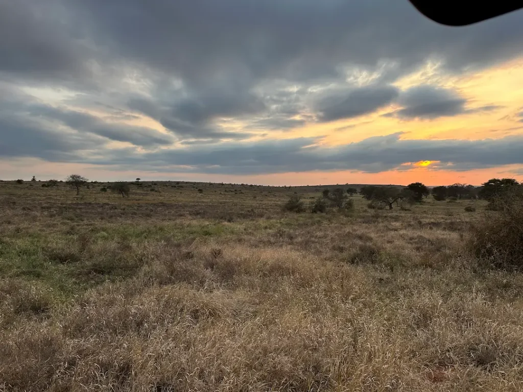 Plaine aride de la réserve de Taita Hills, Kenya