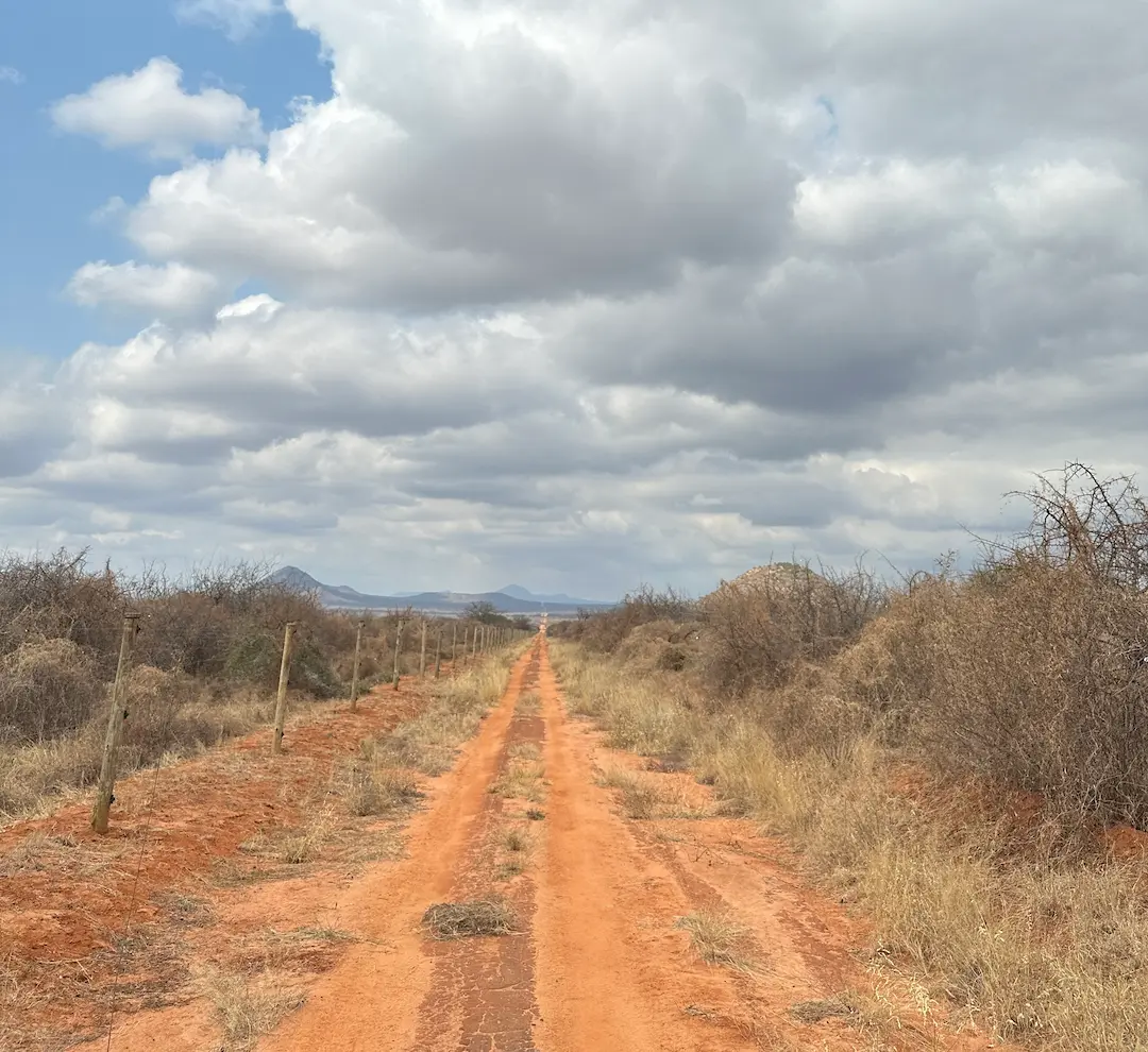 Route de terre rouge et végétation aride sur la route de la réserve de Taita Hills, depuis le Parc National de Tsavo Ouest, Kenya