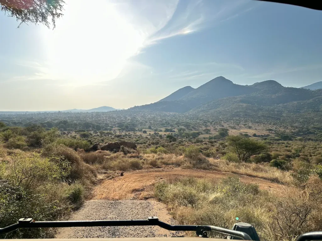Route escarpée, piste de terre rouge et paysage verdoyant au Parc National de Tsavo Ouest, Kenya