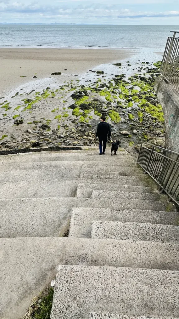 Un ado et son chien descendant les escaliers menant à la plage de Portobelo à Edimbourg, Ecosse, Royaume Uni
