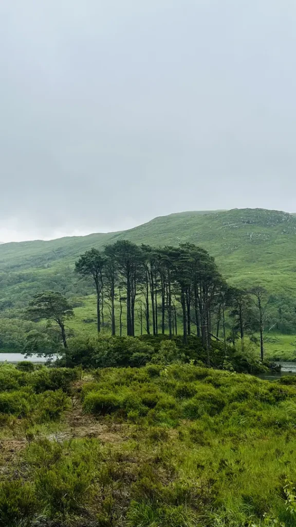 Loch Eilt, Et la minuscule ile Eilean na Moine, Ecosse, Royaume Uni