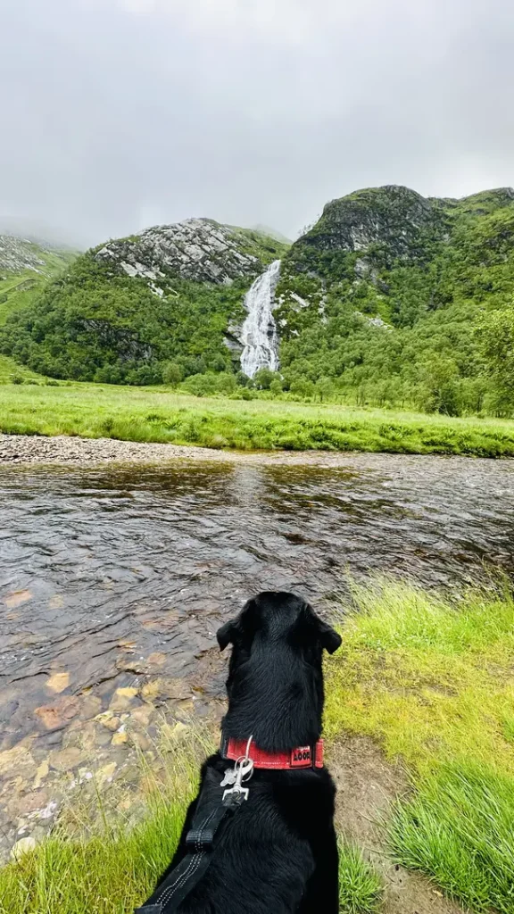 Chien devant la cascade Stell Waterfall, Ecosse, Royaume Uni