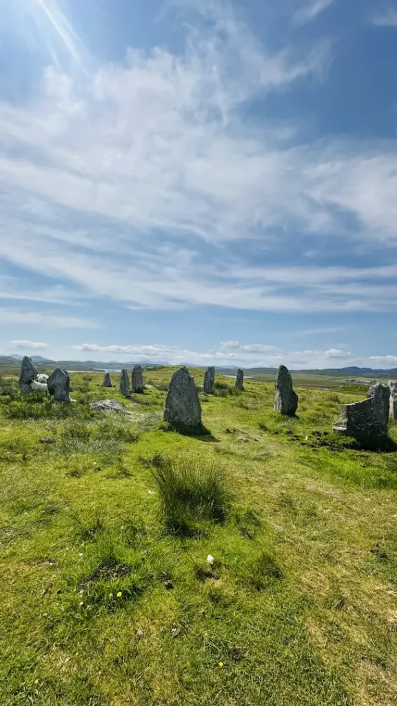 Un mouton caché derrière une pierre érigée du site de Calanais Standing Stones, Ecosse, Royaume Uni