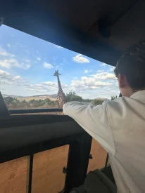 Ado debout dans une jeep 4x4 regardant une girafe à Tsavo West National Park au Kenya